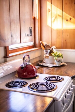 Fridge, oven, stovetop, toaster