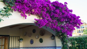 A building with a balcony covered in purple flowers, a tiled wall with decorative plates, and a traditional architectural style.