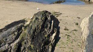A coastal town with stone buildings, a sandy beach, and rocky outcrops. - Jetty Cottage by Interhome (Mevagissey)