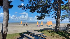 Ein Strand mit Picknicktischen und orangefarbenen Sonnenschirmen, umgeben von Bäumen.