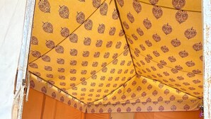 A tent with a patterned canopy, green flooring, a bench, and a bed with a patterned bedspread. - Safari Nights Resort Jaisalmer (Jaisalmer)