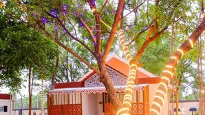 A courtyard with a red carpet, a small building with intricate designs, and trees wrapped with lights. - Tectona Treetop Mansion (Hyderabad)