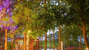 A well-lit outdoor area with a wooden structure, possibly a gazebo, surrounded by trees and a grassy lawn. - Tectona Treetop Mansion (Hyderabad)