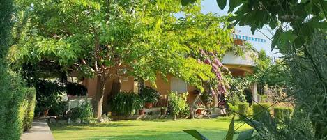 Apartment (Two Bedroom Apartment with Terrace) | Exterior