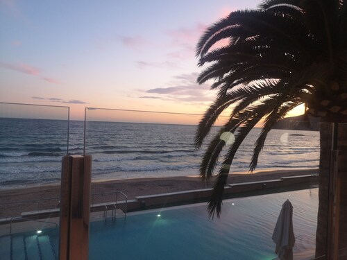  3 piscines, Soleil, palmiers, Animal accepté. Des vacances de rêve. 