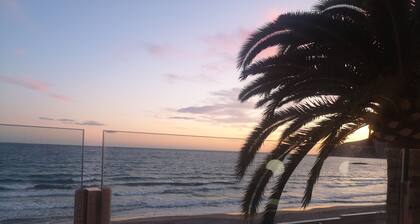 3 pools, sun, palm trees, pets allowed. A dream vacation.