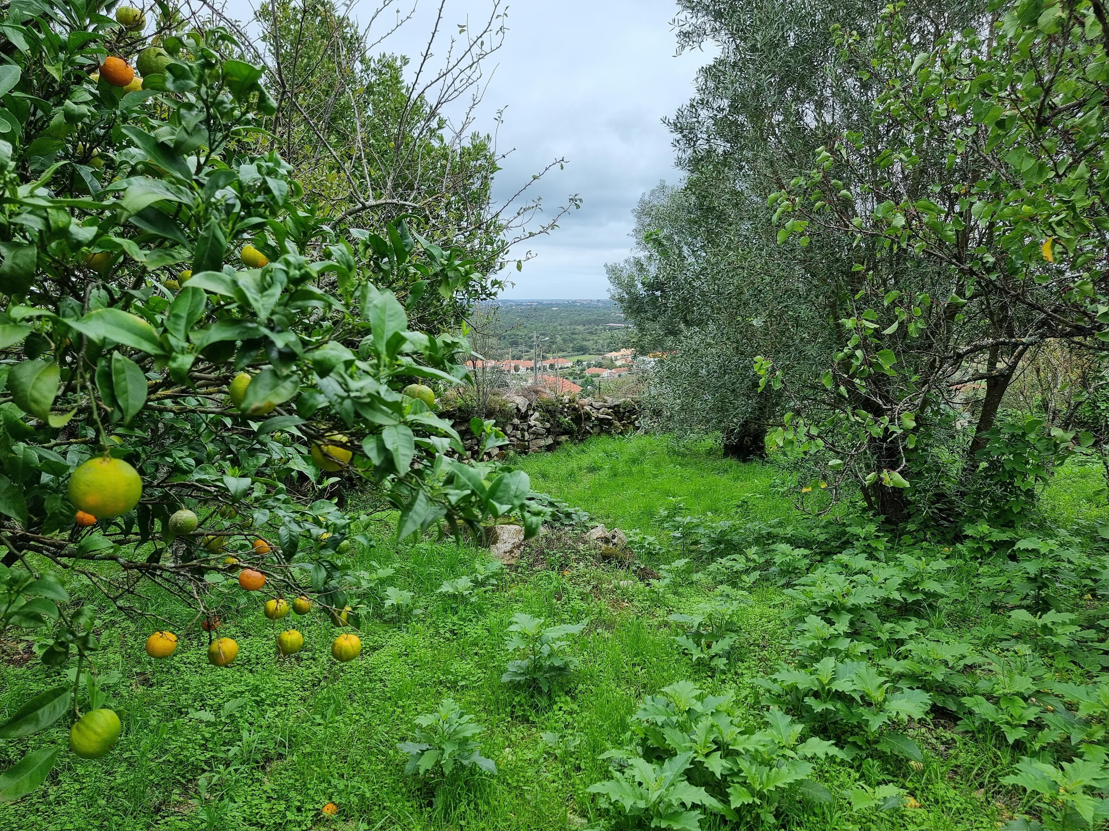 Áreas de la propiedad