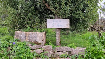 Parco della struttura