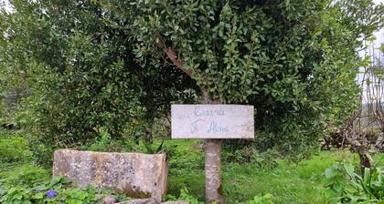 Casa da Ti Alzira - a refuge at the foot of the mountain with a touch of tradition