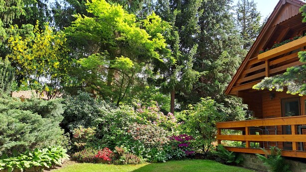 Une cabane en bois dotée d’un balcon, entourée d’une végétation luxuriante et de différentes espèces de plantes.