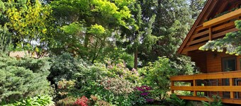 Wooden house in a park-like garden