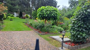 Un jardin avec un chemin pavé, différentes plantes et un lampadaire.
