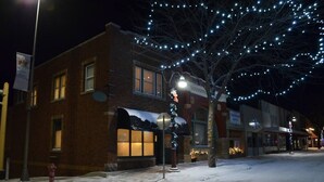 A brick building with a storefront and a tree decorated with lights. - The Vintage Inn - Hidden Gem! (Redwood Falls)