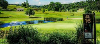 The Vintage Inn - Hidden Gem!