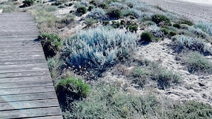 Paesaggio costiero con una passerella di legno che conduce alla spiaggia, una montagna sullo sfondo e vegetazione rada.