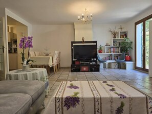 Smart TV, reproductor de DVD y libros 