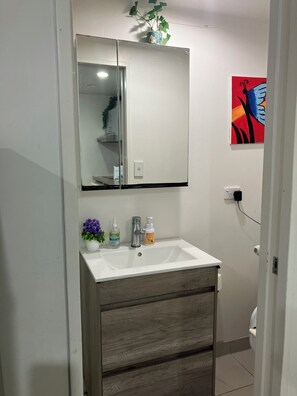 Hair dryer, towels, toilet paper