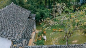 Land view from property - Voi Meo Vac Hostel & Breakfast (Meo Vac)