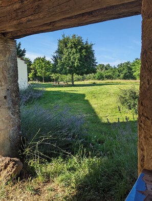 Property grounds - Les lucioles en Périgord: charm, calm, nature and freshness.... in the forest (Soulaures)