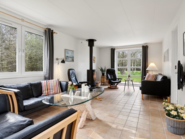 TV, fireplace, DVD player