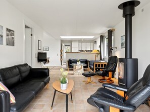 TV, fireplace, DVD player