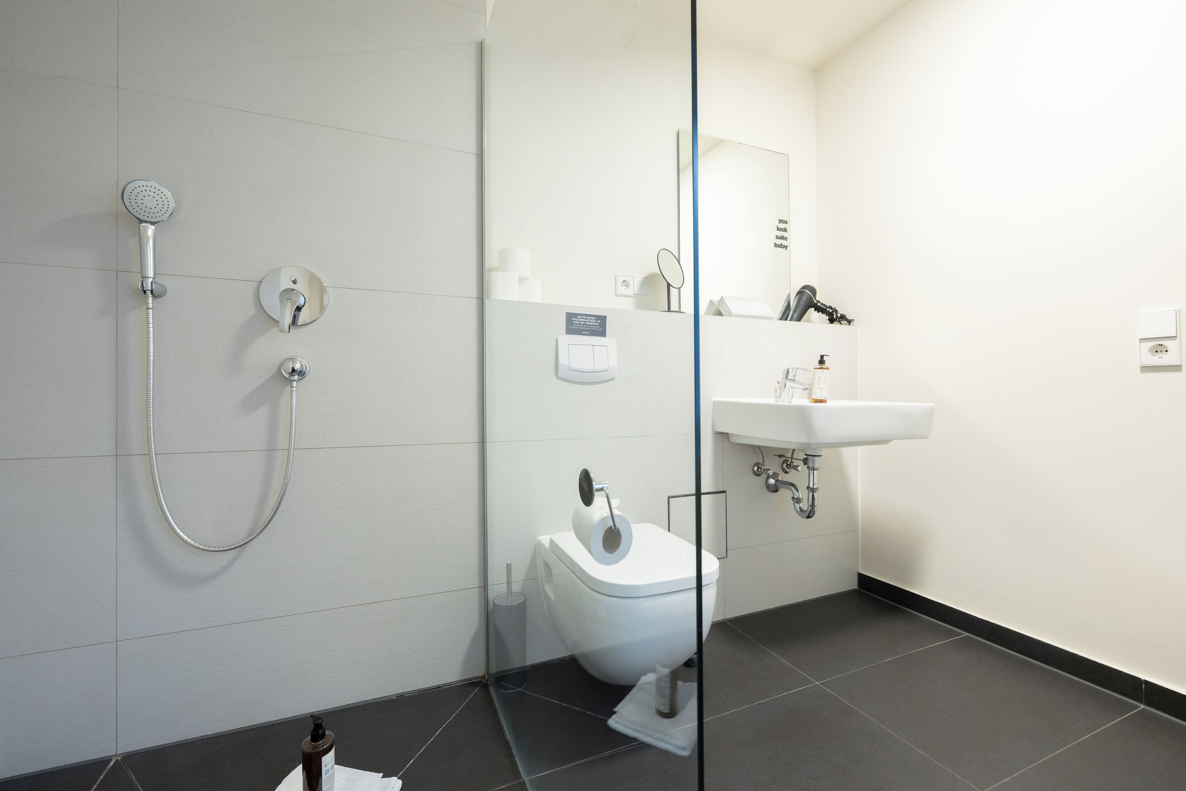 A modern bathroom with a glass shower enclosure, a white toilet, and a sink with a mirror above it.