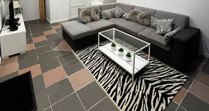 Jolie maison Ă 15 minutes de lâaĂ©roport CDG, 10 minutes du parc des expositions