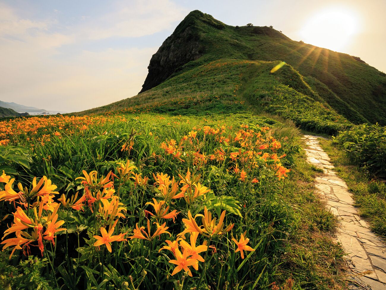 A stone pathway leading up a grassy hill with orange flowers and a mountain in the background.