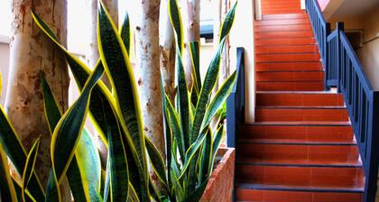 AkiraSunRice Peacefull Villa Calm Ricefield Garden