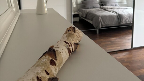 Una camera da letto moderna con un letto, un comodino e una pianta in vaso.