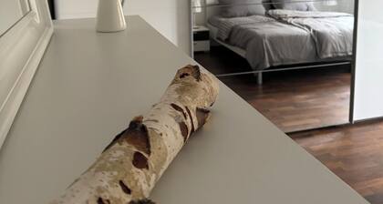 Gemütliche 2,5 Zimmer Wohnung in Fürstenfeldbruck