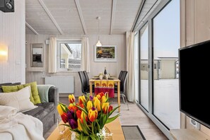 TV, fireplace, DVD player, stereo