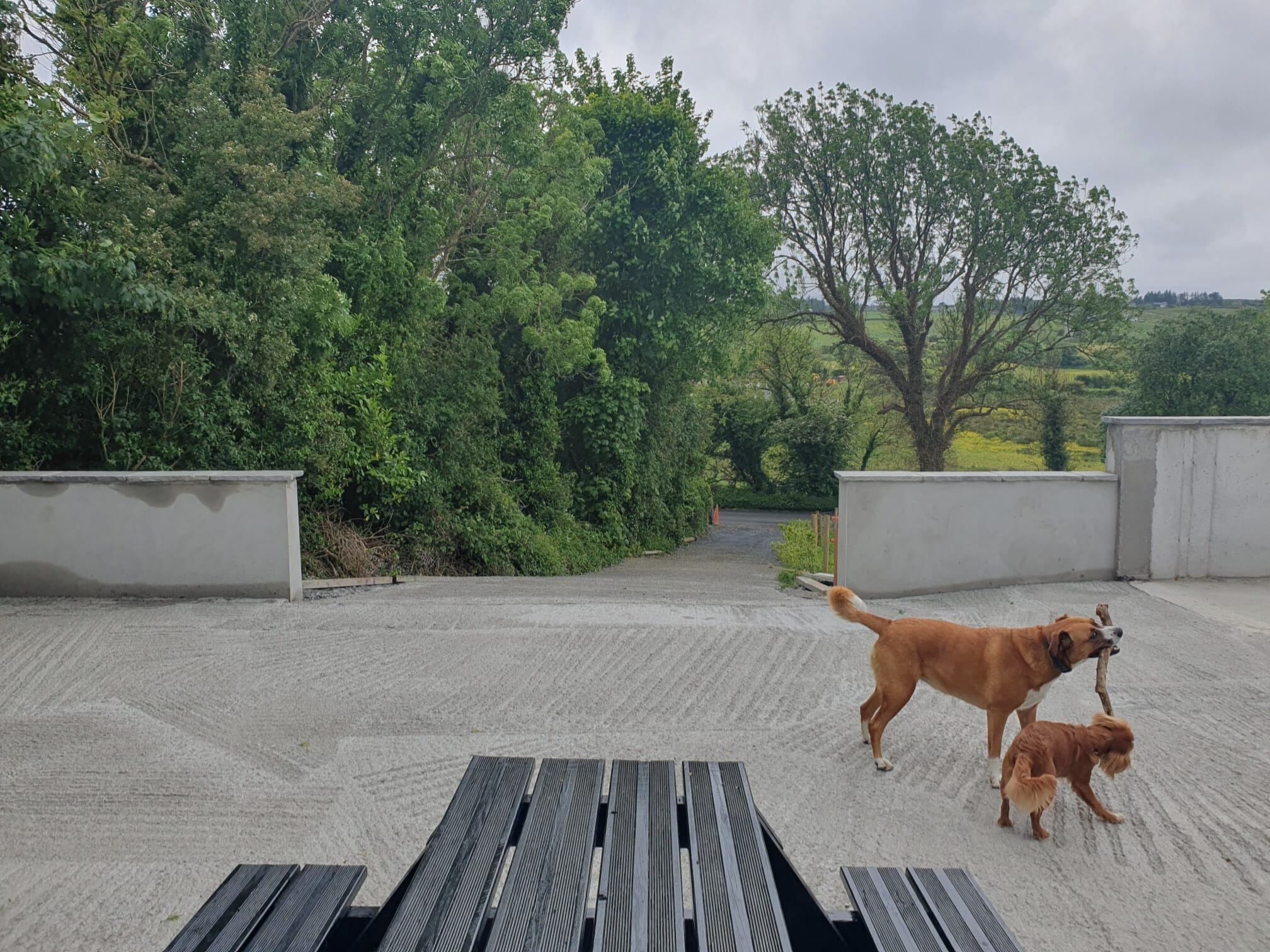 Una terraza en la azotea con piso de concreto, rodeada de abundante follaje y árboles.