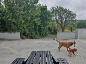 Cottage | Property grounds - Hogans Cottage Ennistymon (Ennistimon)