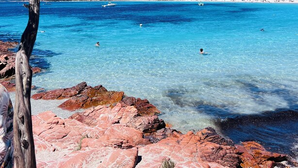 A rocky beach with clear turquoise water, a tree in the foreground, and a hilly landscape in the background. - Villa Lillecorsa in porto vecchio (Lecci)