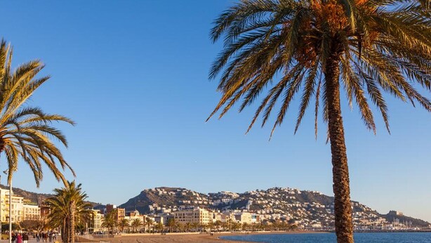 A beach with palm trees, a promenade, and buildings in the background. - Spacieux Appart à 200m de la Plage de Roses - Terrasse BBQ, Parking Gratuit, 8 pers (Roses)