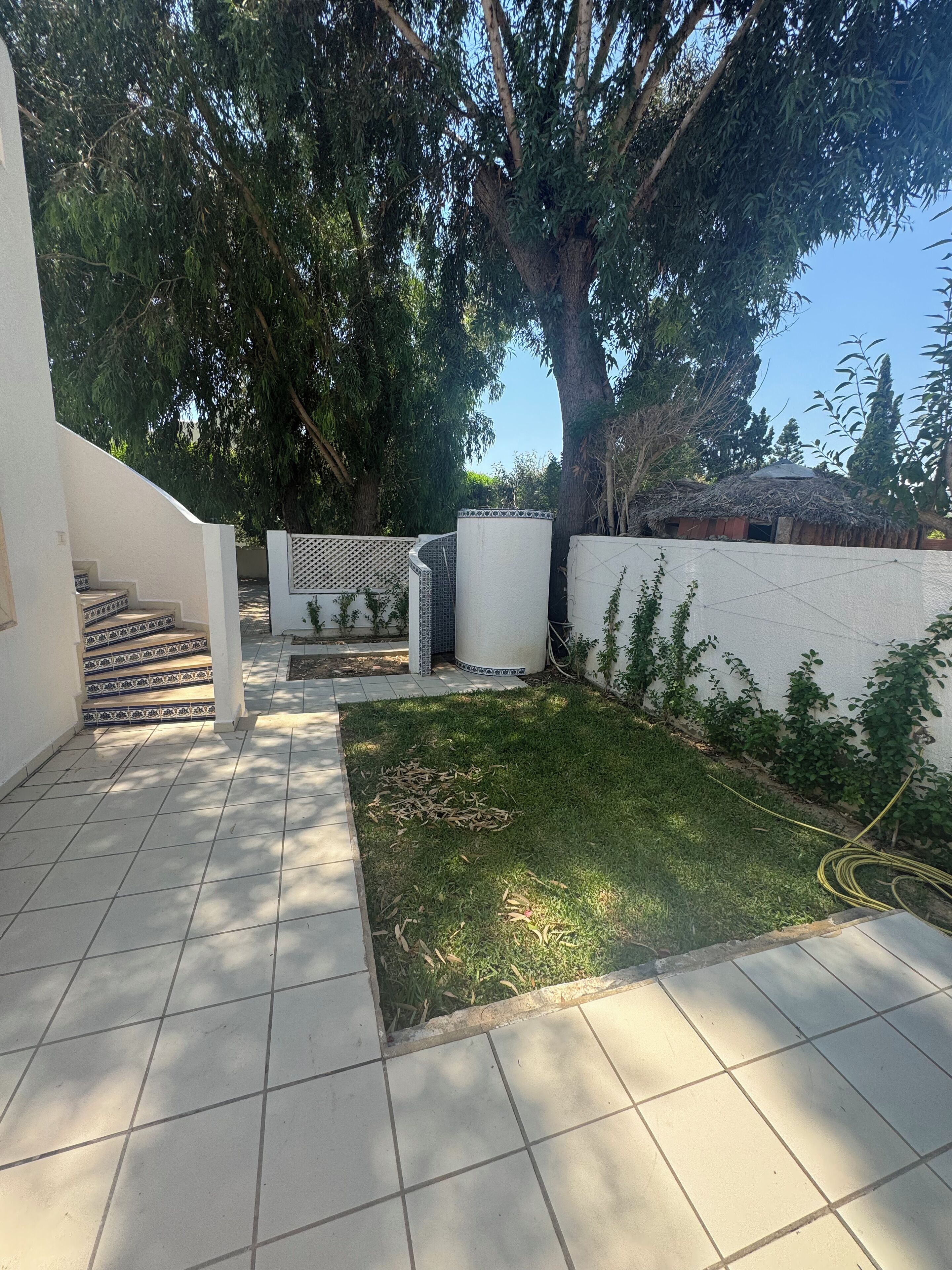 A courtyard with a tiled patio, a grassy area, and a large tree providing shade.