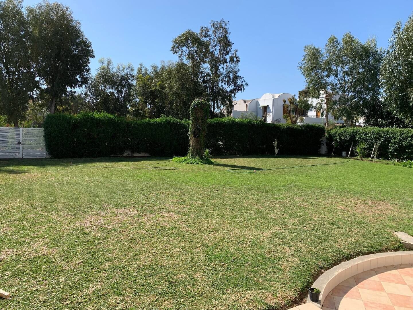A well-maintained lawn with a circular stone patio area, surrounded by mature trees and a white building in the background.