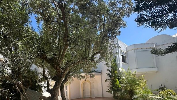 A courtyard with a tiled pathway leading to a building with arched doorways.