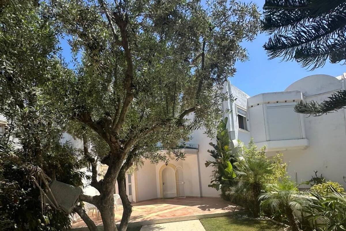 Un patio con un camino empedrado que lleva a un edificio con puertas arqueadas.