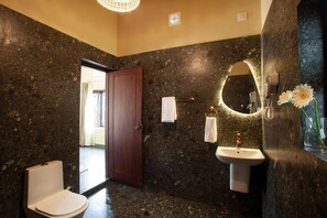 Shower, hair dryer, bidet, towels