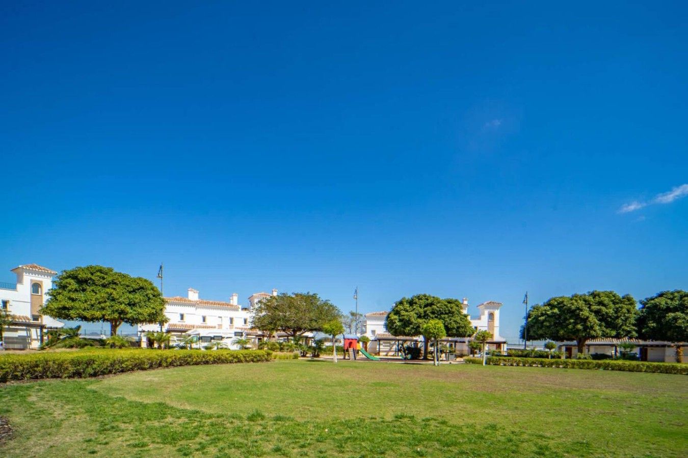 A grassy area with a playground, trees, and buildings in the background.