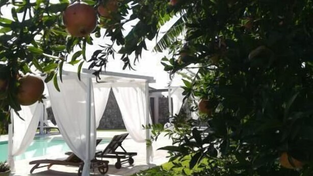 Un espace aménagé au bord de la piscine, avec un coin salon couvert et un arbre fruitier.