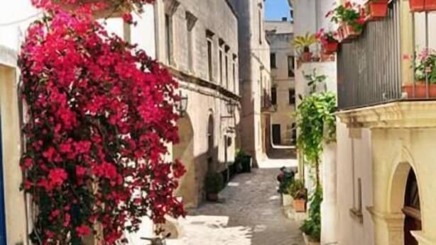 Un estrecho callejón adoquinado flanqueado por edificios con balcones decorados con flores rojas.