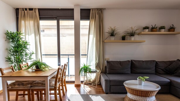 Ein modernes Wohnzimmer mit einem Holzesstisch, Stühlen, einem grauen Sofa, einem runden Korbtisch und mehreren Blumentöpfen.