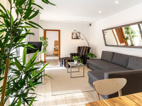 TV - Magnificent apartment in down town Barcelona (Barcelona)