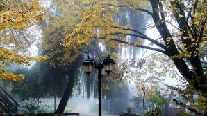 Un parque con un pabellón, bancos y un farol.