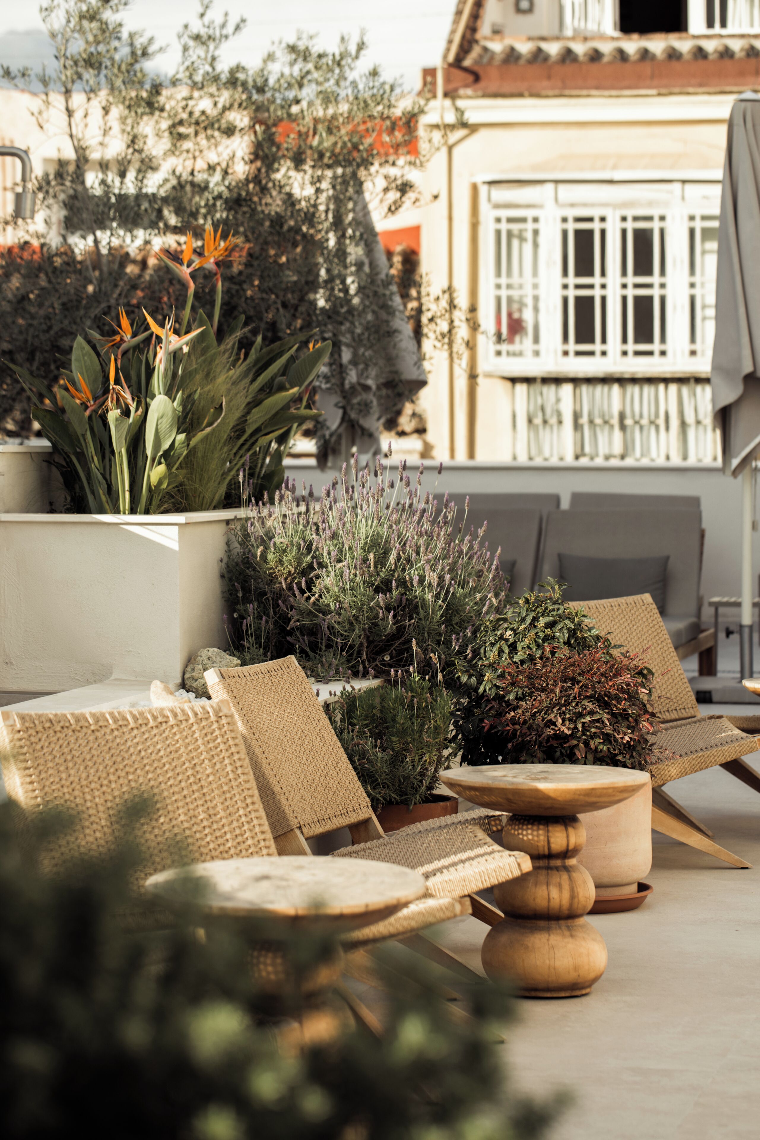 Muebles de mimbre, plantas en macetas y un edificio con ventanas y balcón.