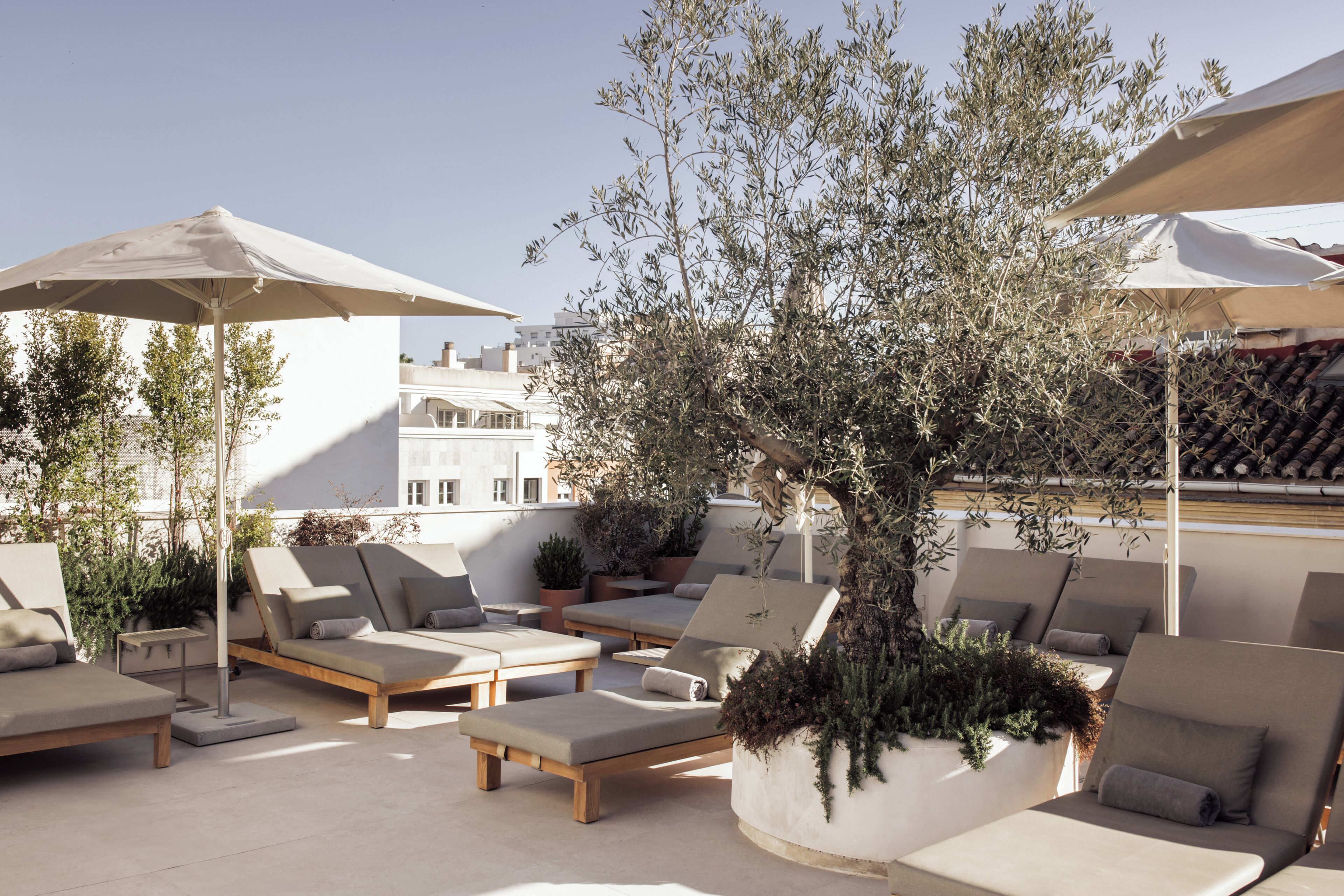 Una terraza en la azotea con sillones de descanso, sombrillas y plantas en macetas.