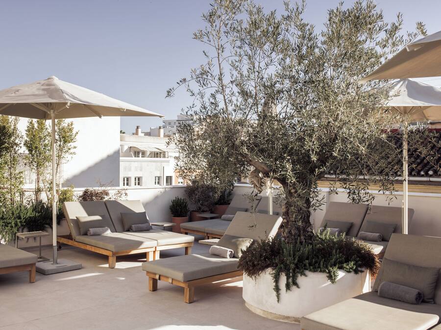 Una terraza en la azotea con sillones de descanso, sombrillas y plantas en macetas.